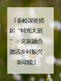 秦岭深处搭起“村光大道”：文旅融合激活乡村振兴新动能
