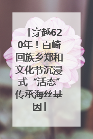 穿越620年！百崎回族乡郑和文化节沉浸式“活态”传承海丝基因