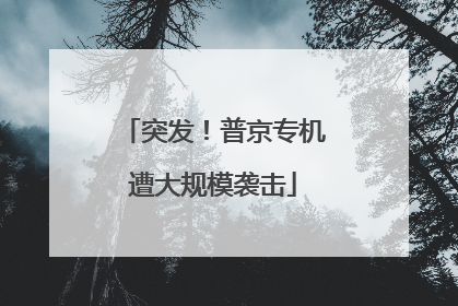 突发！普京专机遭大规模袭击