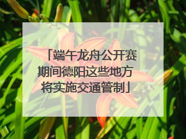 端午龙舟公开赛期间德阳这些地方将实施交通管制