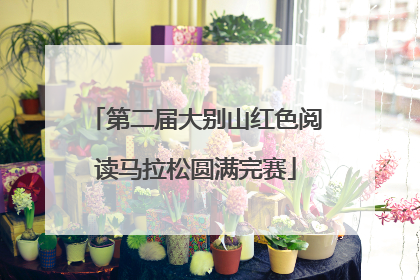 第二届大别山红色阅读马拉松圆满完赛