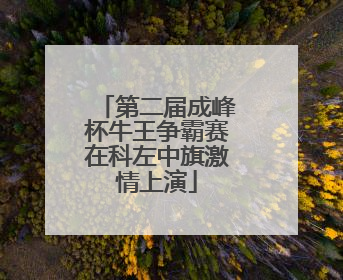 第二届成峰杯牛王争霸赛在科左中旗激情上演