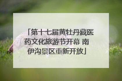 第十七届黄牡丹藏医药文化旅游节开幕 南伊沟景区重新开放