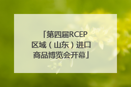 第四届RCEP区域（山东）进口商品博览会开幕
