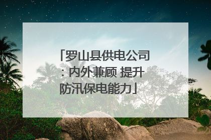 罗山县供电公司：内外兼顾 提升防汛保电能力