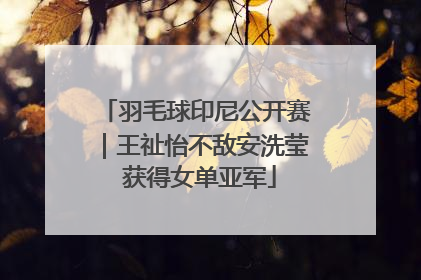 羽毛球印尼公开赛｜王祉怡不敌安洗莹 获得女单亚军
