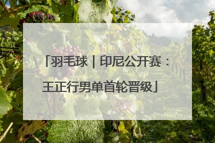 羽毛球｜印尼公开赛：王正行男单首轮晋级