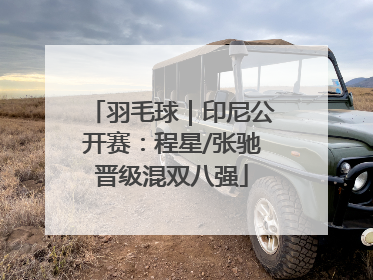 羽毛球｜印尼公开赛：程星/张驰晋级混双八强