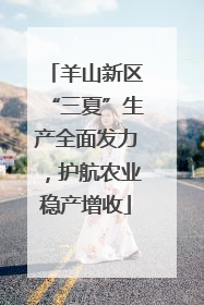 羊山新区“三夏”生产全面发力，护航农业稳产增收