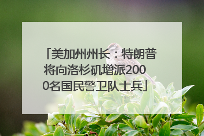 美加州州长：特朗普将向洛杉矶增派2000名国民警卫队士兵