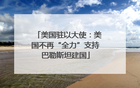 美国驻以大使：美国不再“全力”支持巴勒斯坦建国