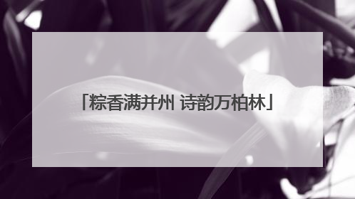 粽香满并州 诗韵万柏林