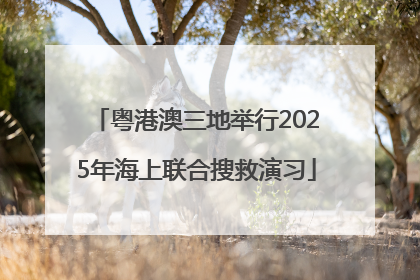粤港澳三地举行2025年海上联合搜救演习