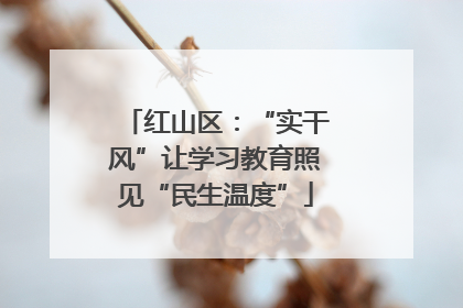红山区：“实干风”让学习教育照见“民生温度”
