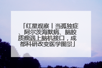 红星观察丨当孤独症、阿尔茨海默病、脑胶质瘤遇上脑机接口，成都科研改变医学图景