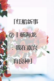 红船新事⑦丨杨海龙：我在嘉兴育良种