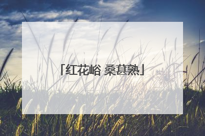 红花峪 桑葚熟