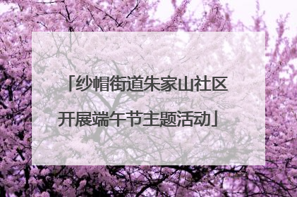 纱帽街道朱家山社区开展端午节主题活动