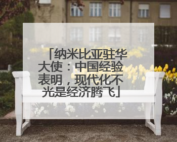 纳米比亚驻华大使：中国经验表明，现代化不光是经济腾飞
