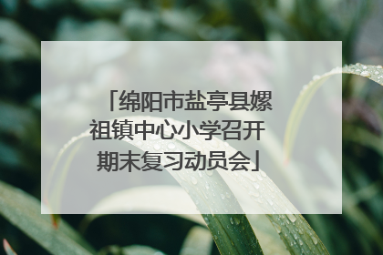 绵阳市盐亭县嫘祖镇中心小学召开期末复习动员会
