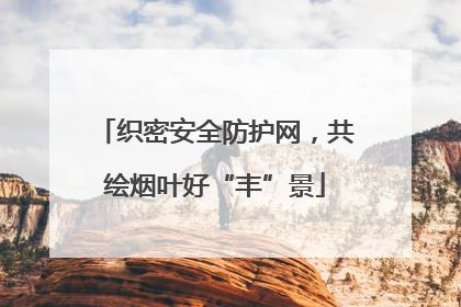 织密安全防护网，共绘烟叶好“丰”景