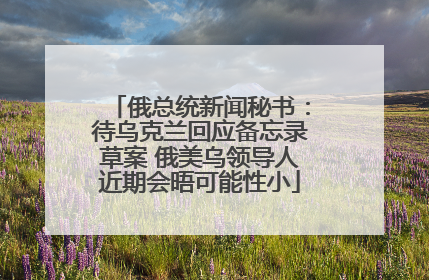 俄总统新闻秘书：待乌克兰回应备忘录草案 俄美乌领导人近期会晤可能性小