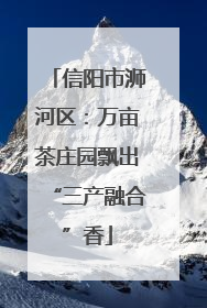 信阳市浉河区：万亩茶庄园飘出“三产融合”香