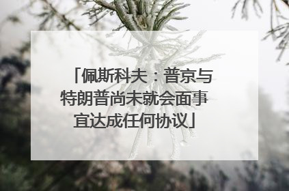 佩斯科夫：普京与特朗普尚未就会面事宜达成任何协议
