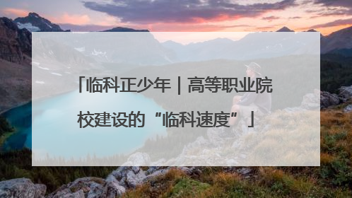 临科正少年｜高等职业院校建设的“临科速度”