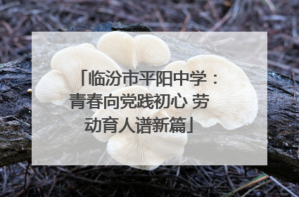临汾市平阳中学：青春向党践初心 劳动育人谱新篇