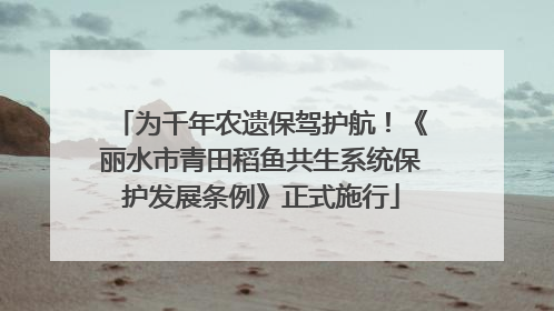 为千年农遗保驾护航！《丽水市青田稻鱼共生系统保护发展条例》正式施行