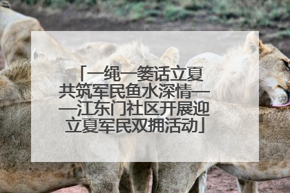 一绳一篓话立夏 共筑军民鱼水深情——江东门社区开展迎立夏军民双拥活动