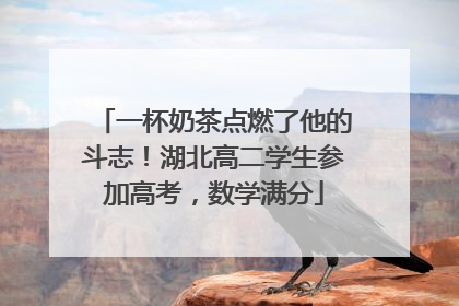 一杯奶茶点燃了他的斗志！湖北高二学生参加高考，数学满分