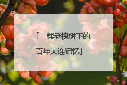 一棵老槐树下的百年大连记忆