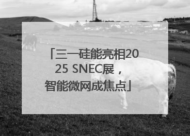 三一硅能亮相2025 SNEC展，智能微网成焦点