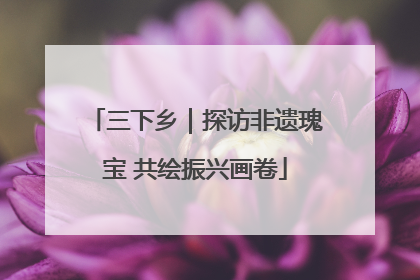 三下乡｜探访非遗瑰宝 共绘振兴画卷