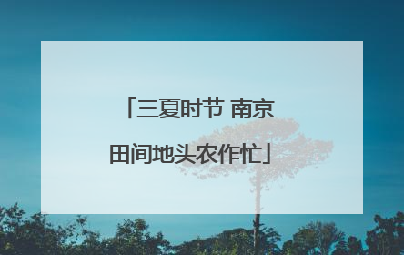 三夏时节 南京田间地头农作忙