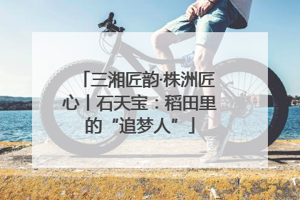 三湘匠韵·株洲匠心丨石天宝：稻田里的“追梦人”