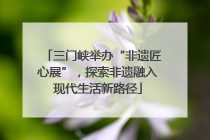 三门峡举办“非遗匠心展”，探索非遗融入现代生活新路径