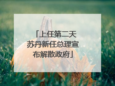 上任第二天 苏丹新任总理宣布解散政府