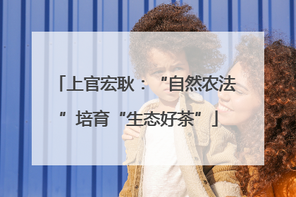 上官宏耿：“自然农法”培育“生态好茶”
