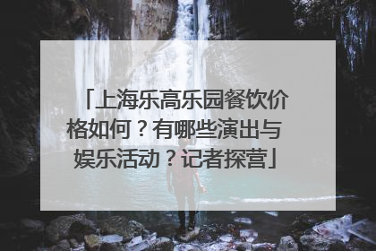 上海乐高乐园餐饮价格如何？有哪些演出与娱乐活动？记者探营