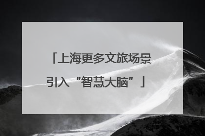 上海更多文旅场景引入“智慧大脑”