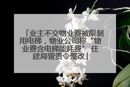 业主不交物业费被限制用电梯，物业公司称“物业费含电梯能耗费” 住建局曾责令整改