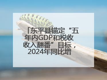 东平县锚定“五年内GDP和税收收入翻番”目标，2024年同比增长5.8%