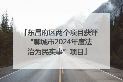 东昌府区两个项目获评“聊城市2024年度法治为民实事”项目
