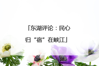 东湖评论：民心归“宿”在峡江
