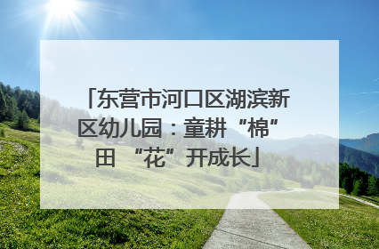 东营市河口区湖滨新区幼儿园：童耕“棉”田 “花”开成长