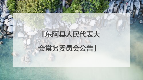 东阿县人民代表大会常务委员会公告