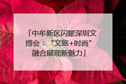 中牟新区闪耀深圳文博会：“文旅+时尚”融合展现新魅力